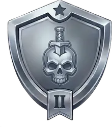 Emblema de Plata, nivel II